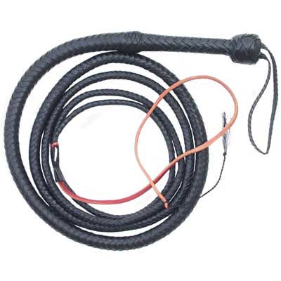 Bullwhip 10 ft (Black) by David Morgan