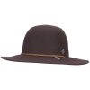 Bird & Feather Wool Felt Hat Brown color